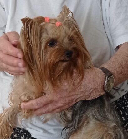 IMG_20240908_1110010