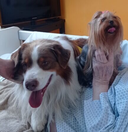 IMG_220240908_102831