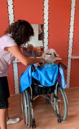 Processed with Focos