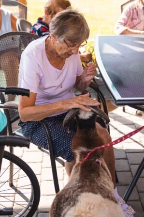 PHOTO-2024-09-04-12-35-42 2