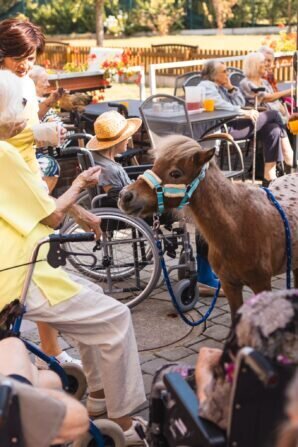 PHOTO-2024-09-04-12-35-48 2