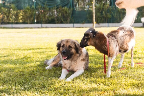 PHOTO-2024-09-04-12-35-49 2