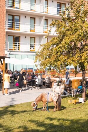 PHOTO-2024-09-04-12-35-52