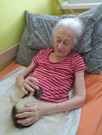 a232175d-005a-4108-b00b-efe8363dbba0