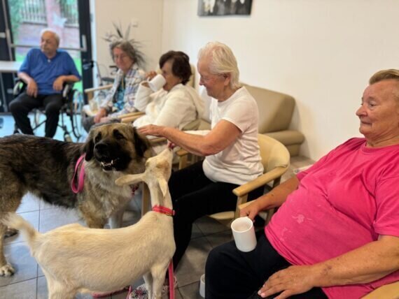 461428845_511696101573383_3534198659927746560_n