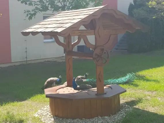 20220505_140108-1536x1152