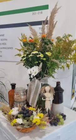 20250830_132858-835x1536