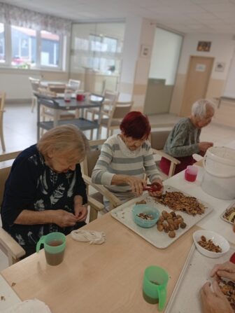 585597382_1276557447844620_6812685688586089907_n