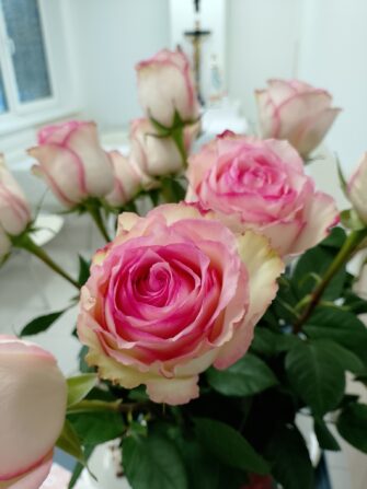 588594340_1282071180626580_943667872205693857_n