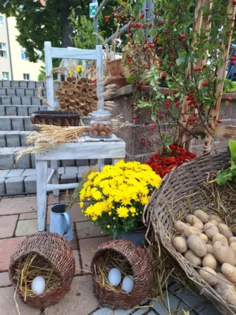 1000047115-1152x1536