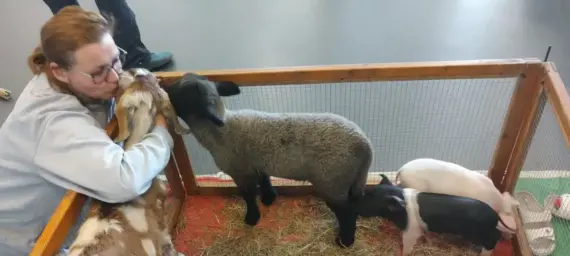 IMG_20250410_143238748-1536x691