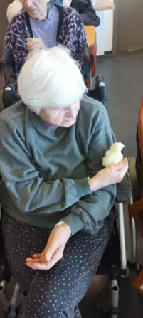 IMG_20250410_151847226-691x1536