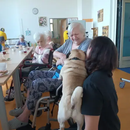Canisterapie potěšila klienty z 1. a 2. patra
