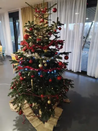 IMG_20251205_075245-1152x1536