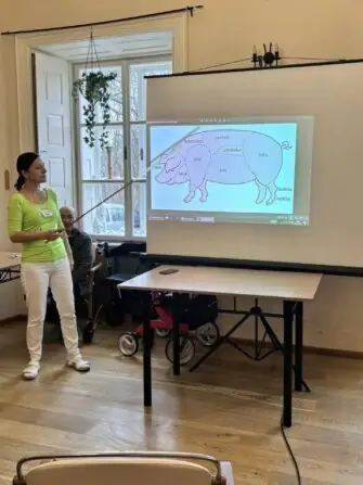 zabíjačkové hody (11)