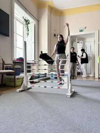 2024 03 11 králičí hop (4)