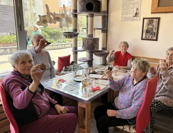 434068175_905442417930863_313144709879275853_n