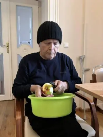 jablečný závin (2)