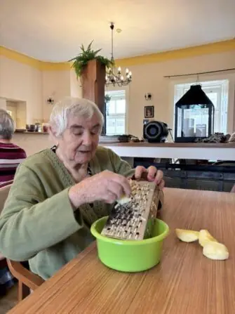 jablečný závin (9)