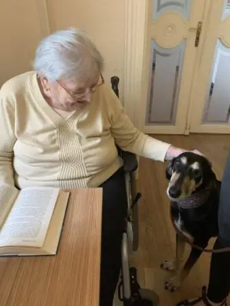 439941653_1024887799059941_7058304378690817167_n