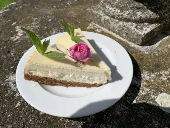 441423034_410223745192790_6077816045447070782_n