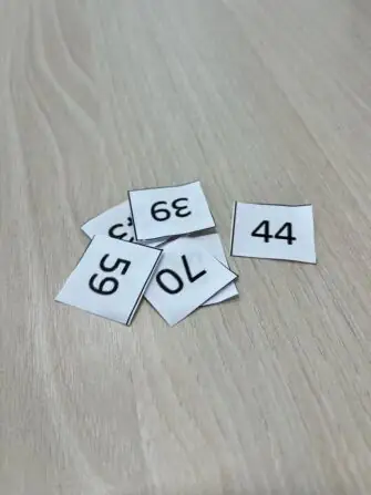 441894966_1646297426223955_3677701416353094322_n