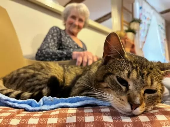 IMG-20240524-WA0005-570x428