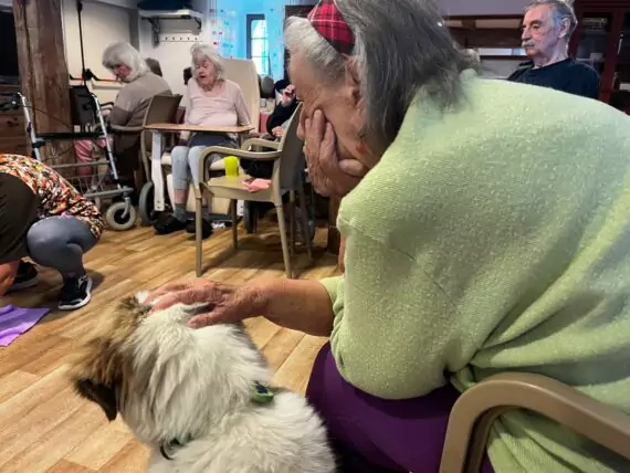 IMG-20240524-WA0006-570x428