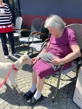 449191860_453816544028006_4860693529738846548_n