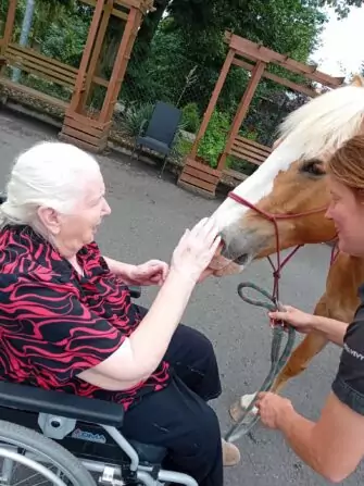 449193408_879690420864660_747176511780264223_n