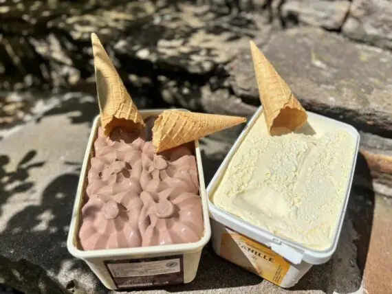 449458722_488647570314772_8464292377787257605_n