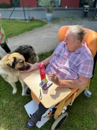 449487511_456790857063908_1011335965455366222_n