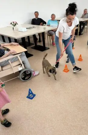 449579426_1540474173229713_2580259274979387456_n