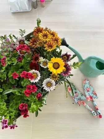 450454813_776553171314263_1833328891202591582_n