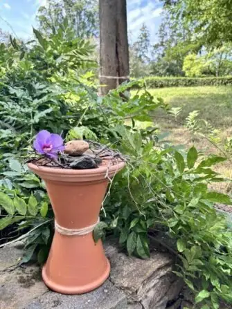 451432459_835248735238550_696600046276726205_n