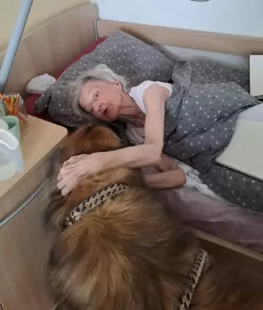 458a647a-0744-4003-82ad-282132a9b535