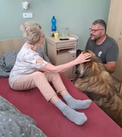 6de20e84-0e6c-43df-8bd1-2812ad882a5b