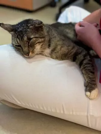 IMG-20240717-WA0002(1)