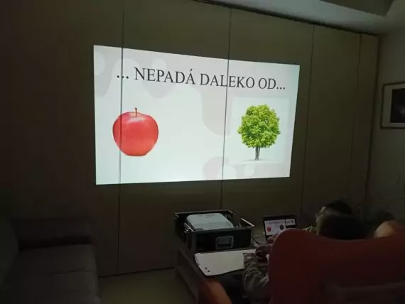 WhatsApp Image 2024-07-09 at 14.47.45