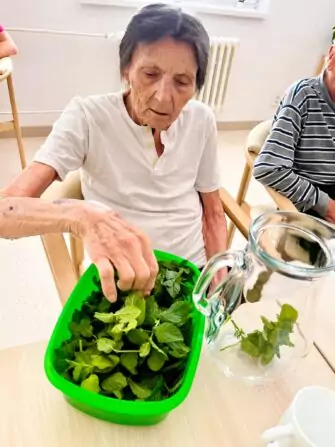 453134655_506690671746553_5186197972297359040_n