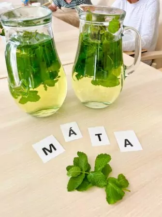 453294555_1155444102412451_8007162502208232693_n