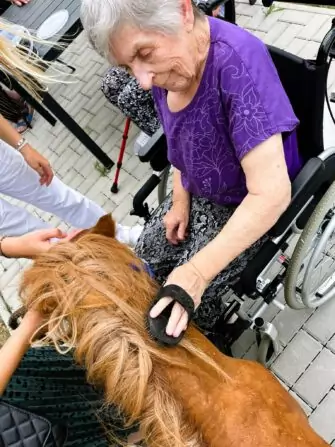 453334899_795553159327470_650109742721375150_n