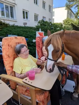 PXL_20240730_075903916