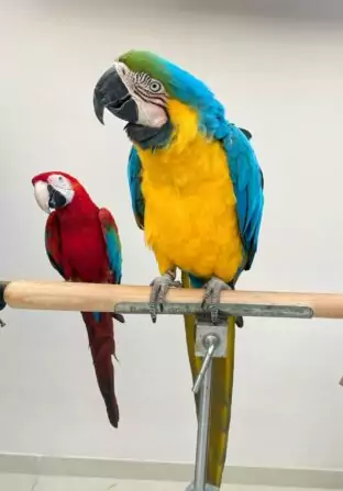 59A13059-CA3A-472D-ADAD-35FE2800842F