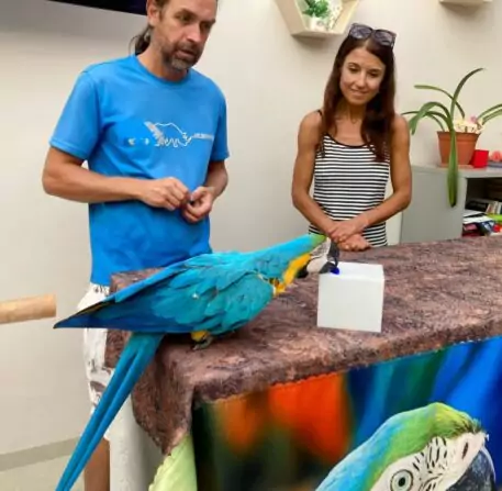 78C153B4-844F-4A22-A0CE-97A5DE448B0D