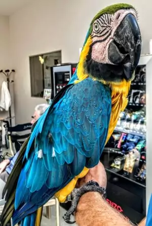 8DC3A323-88E5-46D8-9298-DD4D5C55D5E3