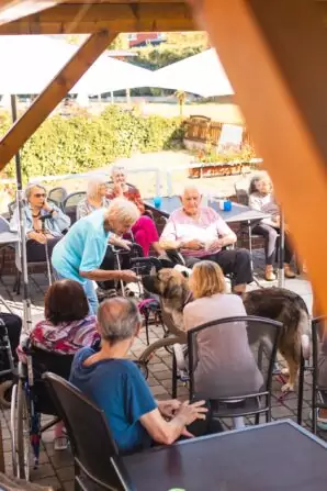 PHOTO-2024-09-04-12-35-38 2