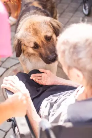 PHOTO-2024-09-04-12-35-39