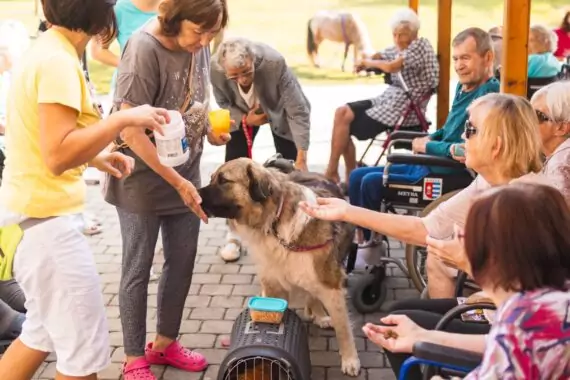 PHOTO-2024-09-04-12-35-47 2