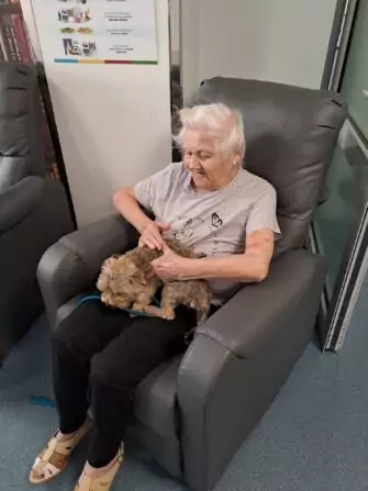 1e6d00eb-e197-44e4-b276-9e96252728c0